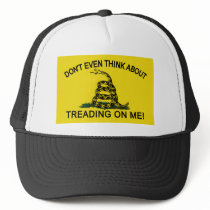 Gadsden Flag updated Hat