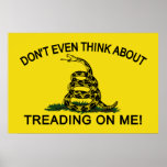 Gadsden Flag updated Poster