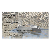 Gadwall Drake Business Card Template