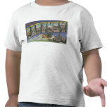 Gaffney, South Carolina - Large Letter Scenes t-shirts