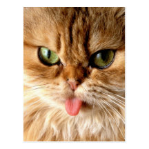 Gag me with a spoon postcard