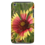 Gaillardia Flower iTouch Case Barely There iPod Cases