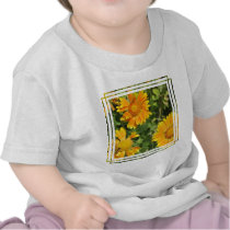 Gaillardia Flowers  Baby T-Shirt