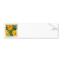 Gaillardia Flowers  Bumper Stickers