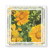Gaillardia Flowers  Magnet