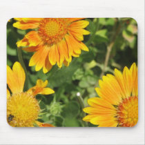 Gaillardia Flowers  Mouse Pad