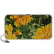 Gaillardia Flowers Portable Speakers