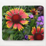 Gaillardia mouse pad