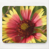 Gaillardia Mouse Pad