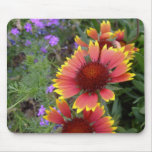 Gaillardia mouse pad
