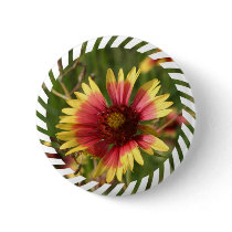 Gaillardia Round Button