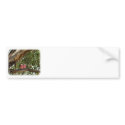 Galah 9R033D-14 bumper stickers