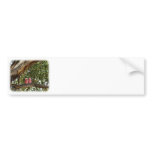 Galah 9R033D-14 bumper stickers
