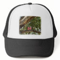 Galah 9R033D-14 hats