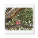 Galah 9R033D-14 magnets