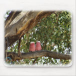 Galah 9R033D-14 mousepads