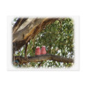 Galah 9R033D-14 postcards