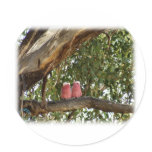 Galah 9R033D-14 stickers