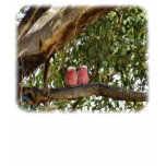 Galah 9R033D-14 t-shirts