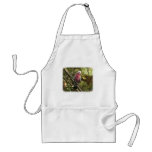 Galah 9Y201D-047 aprons