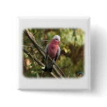 Galah 9Y201D-047 buttons