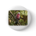 Galah 9Y201D-047 buttons