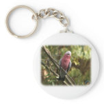 Galah 9Y201D-047 keychains