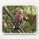 Galah 9Y201D-047 mousepads
