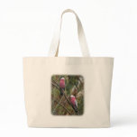 Galah 9Y209D-155 bags