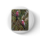 Galah 9Y209D-155 buttons