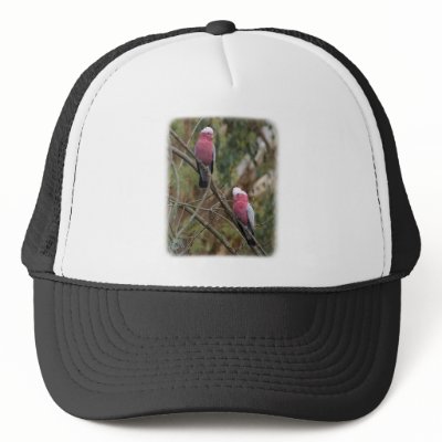 Galah 9Y209D-155 Mesh Hats by TraffordPhotos
