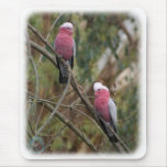 Galah 9Y209D-155 mousepads
