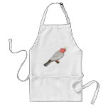 Galah - Cacatua roseicapilla aprons