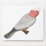Galah - Cacatua roseicapilla mousepads