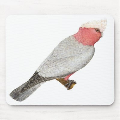 Galah - Cacatua roseicapilla Mouse Pads by LisasLair
