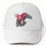 Galah Cockatoo Hat