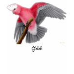 Galah Cockatoo Ladies Babydoll Tee t-shirts