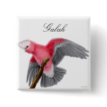 Galah Pin buttons