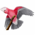 Galah Rose Breasted Cockatoo Ornament photo sculptures