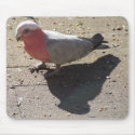 GALAH SHADOW MOUSEPAD