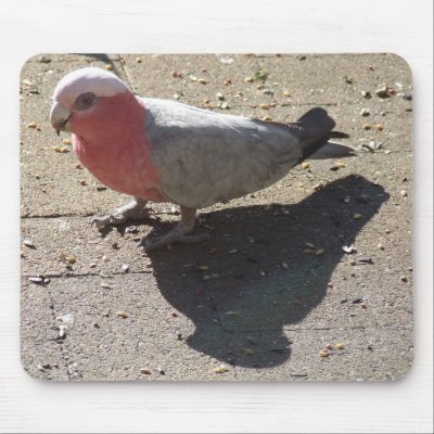 GALAH SHADOW MOUSEPAD by Dianekmt