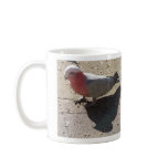 GALAH SHADOW MUG