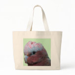 Galah Wildlife bags