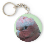 Galah Wildlife key Chain keychains