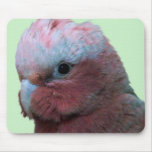 Galah Wildlife Mouse Pad mousepads