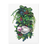 Galah with Christmas A postcards