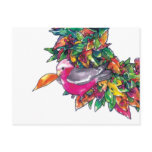 Galah with Christmas B postcards