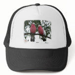 Galahs 9Y517D-003 hats