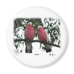 Galahs 9Y517D-003 magnets
