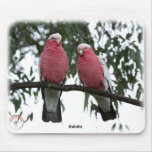 Galahs 9Y517D-003 Mouse Pads